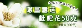 枇杷預購滿1000元,SEVEN愛心購物網即捐款唐氏症基金會「天使21家園」100元